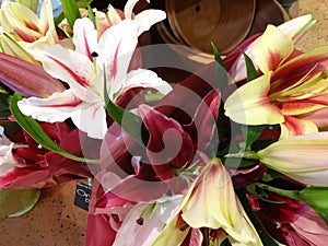 Fresh Cut Lily Flowers for Sale Inside a Floral Shop