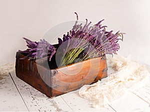 Fresh cut Phenomenal lavender with buds and flowers in antique wood tool box