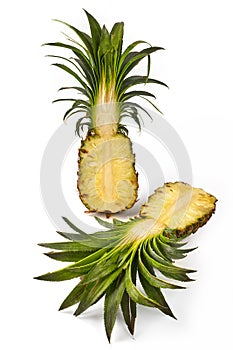 Fresh cut pineapple in half isolated on white
