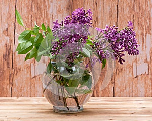 Fresh cut Purple Lilac Flowers in clear glass vase on wood. Syringa vulgaris.