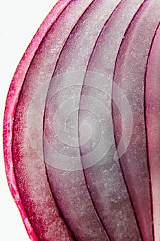 Fresh cut red onion closeup slices of vegetables on white background