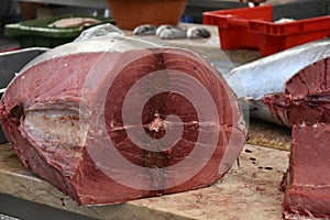 Fresh cut red tuna fish