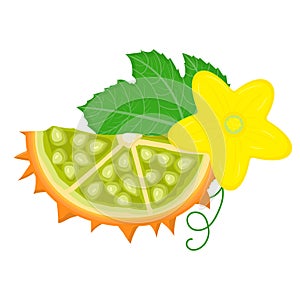 Fresh cut sliced yellow kiwano fruit with flower isolated on white background. Summer fruits for healthy lifestyle