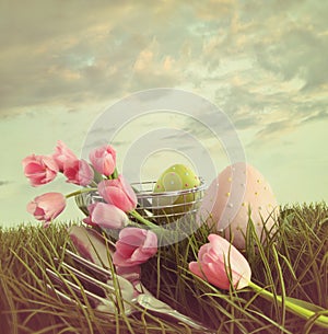 Fresh cut tulips with eggs in the tall grass