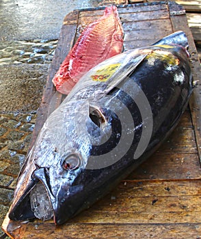 Fresh cut tuna in Tsukiji, Tokyo