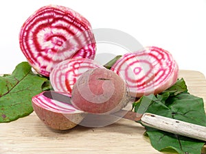 Fresh cutting Chioggia beets