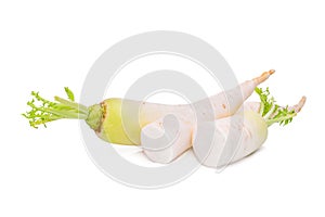 Fresh daikon radish isolated on the white