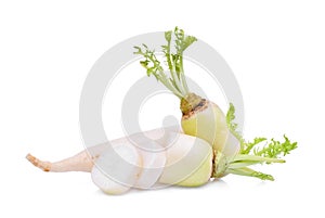 Fresh daikon radish with slice isolated on the white