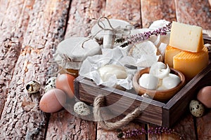 Fresh dairy products: cheese, butter, milk and eggs in wooden box