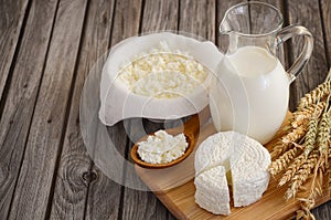 Fresh dairy products. Milk and cottage cheese with wheat on the rustic wooden background.