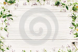 Fresh daisy lilac flowers and green herbs frame on white wooden