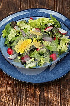 Fresh dandelion salad