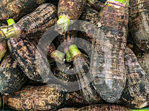 Fresh dasheen background