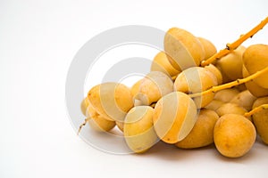 Fresh date palm isolated