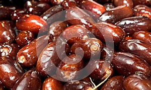 Fresh Dates