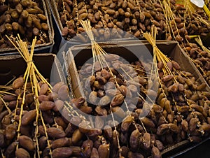 Fresh dates on the branches sold on the local market in Tunisia