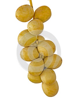 Fresh dates isolated on white