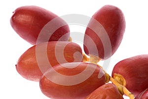 Fresh Dates Macro Isolated photo