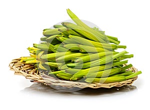 Fresh daylily in a wooden plate, Daylily not only can heal the sick, or a delicious dish.