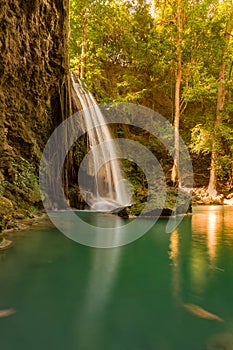 Fresh deep forest waterfall