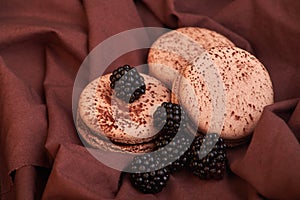 fresh and delicious blackberries with chocolate macaroni on fabric. dessert
