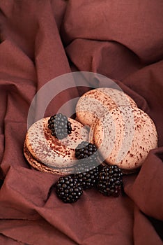 fresh and delicious blackberries with chocolate macaroni on fabric. dessert