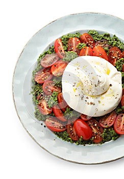Fresh delicious burrata salad isolated on white, top view photo