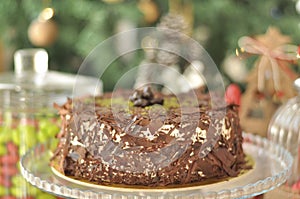 Fresh delicious Chocolate Pistaccio Cake with Christmas decoration