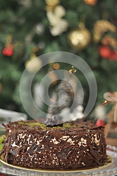 Fresh delicious Chocolate Pistaccio Cake with Christmas decoration