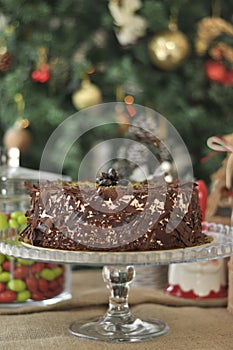 Fresh delicious Chocolate Pistaccio Cake with Christmas decoration