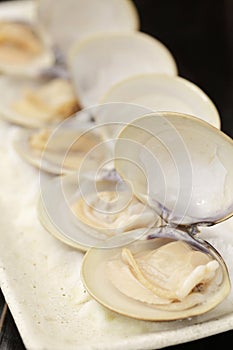 Fresh delicious clams on white dish