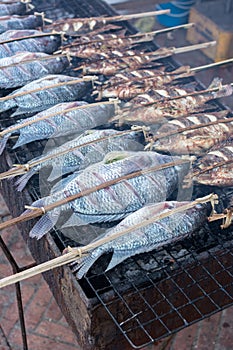 Fresh delicious grilled fish