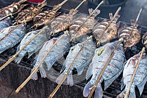 Fresh delicious grilled fish, tilapia
