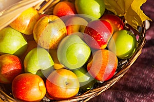 Fresh delicious natural apples different varieties in a basket close - up - yellow, green, red. Autumn, harvest festival, autumn