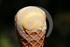 Fresh and Delicious Orange Ice Cream Ball on a Cone