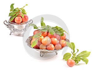 Fresh delicious plums