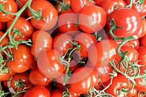 Fresh delicious red tomatoes in Summer tray market agriculture farm full of organic for background