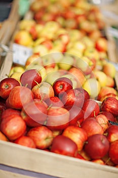 Fresh delicious red and yellow apples, in the weekly market