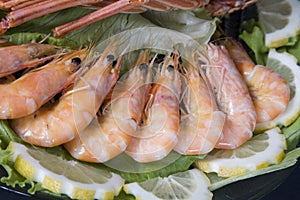Fresh and delicious seafood -