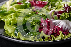 Fresh delicious vegitarian salad of chopped vegetables on a plate