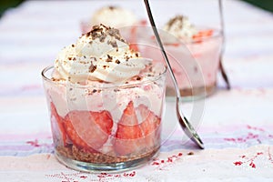 Fresh dessert with mascarpone and whipped cream