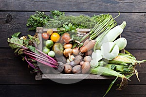 Fresh detox vegetarian food, farm harvest photo