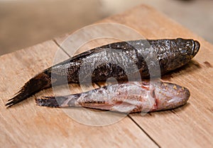 Fresh died fish for cooking food on wooden chop board.