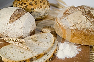 Fresh different kinds of bread with sour and wheat head