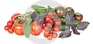 Fresh different red tomatoes, green cucumbers, purple and green basil and sage leaves isolated on white background