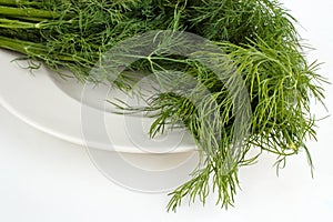 Fresh dill