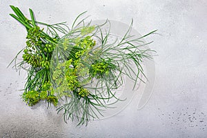 Fresh Dill Anethum graveolens leaves, florets, fruits atop grey textured backdrop w/ copy space,  top view