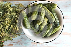 Fresh dill bunch and cucumbers on the table.