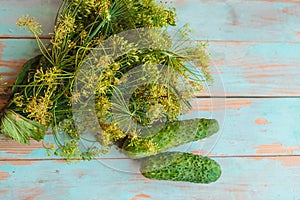 Fresh dill bunch and cucumbers on wooden background.