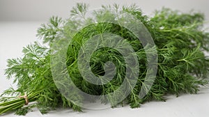 Fresh dill bunch on a white background, isolated.